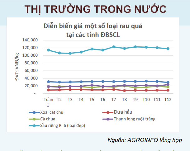 rau củ trên thị trường thế giới 26-3-2024_1711445371.PNG